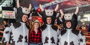 Cowgirl mit Kuh-Herde: Kuhl!